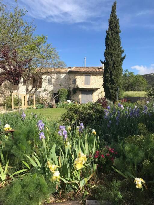 Les Tarraiettes Au Pied Du Luberon Villa Lourmarin Dış mekan fotoğraf