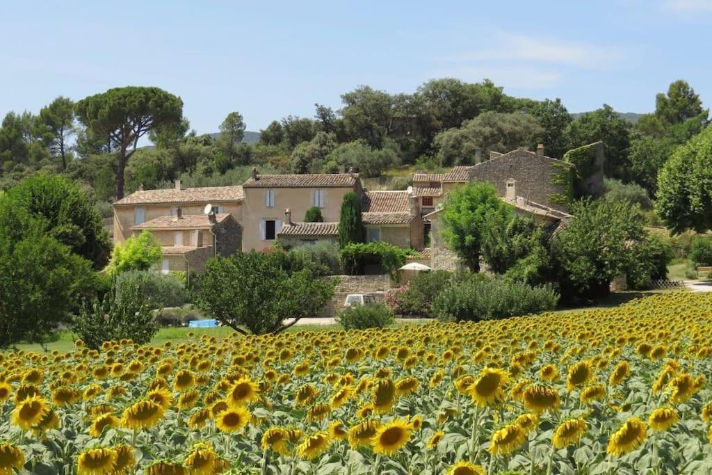 Les Tarraiettes Au Pied Du Luberon Villa Lourmarin Dış mekan fotoğraf